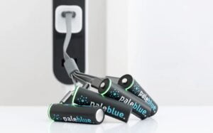 Tom Bishop’s Paleblue Revolutionizes Rechargeable Battery Market