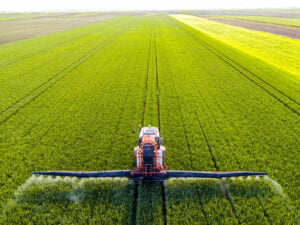 University of Queensland Develops Eco-Friendly Spray to Fight Myrtle Rust